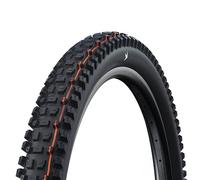 Schwalbe Albert Gravity Pro Evo Soft E-50 Tubeless 29´´ X 2.60 Mtb Tyre Argenté 29´´ x 2.60 Black
