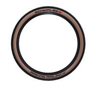 Schwalbe Pneu souple Racing Ralph Evolution ADDIX Speed Super Race 29" noir 29x2.25