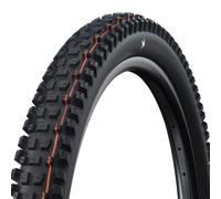 Schwalbe Pneu pliable Albert Radial Trail Pro Soft E-50 TLR 29" noir