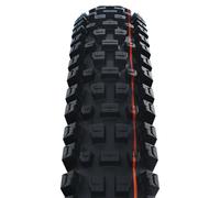 Schwalbe Pneu souple Albert Evolution Trail Radial ADDIX Soft TLR 29x2.5 Noir
