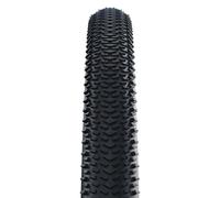 Schwalbe Pneu pliant G-ONE R Pro Evolution ADDIX Race TLR 28" noir
