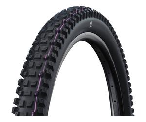 Schwalbe Pneu pliable Albert Gravity Pro Ultra Soft E-50 TLR 29" noir
