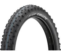 Schwalbe Pneu Souple Jumbo Jim Evo ADDIX SpeedGrip SuperGround 26" Fatbike noir 26x4,0