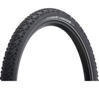 Schwalbe Pneu pliant Smart Sam DD Performance Line