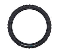 Schwalbe Pneu pliaple Tacky Chan Gravity Pro Soft E-50 TLR 29" noir