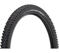 Schwalbe Pneu souple Albert Evolution Gravity Radial ADDIX Ultra Soft TLR 29" noir 29x2.6