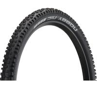 Schwalbe Pneu Souple Nobby Nic Performance ADDIX RaceGuard DD 29" noir