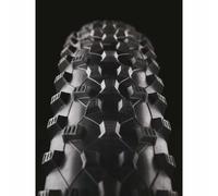 Schwalbe Pneu Vtt Rocket Ron Evo Tle Addix Speed Snakeskin Tubeless 29´´ X 2.10