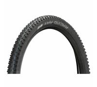 Schwalbe Pneu Souple Racing Ray Evolution ADDIX SpeedGrip Super Ground 29" noir 29x2.25