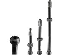 Schwalbe Valve tubeless 40 mm - 2 unités - argenté/noir