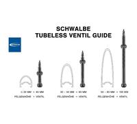 Schwalbe Tubeless Presta Valves 2 Units Noir 100 mm Black