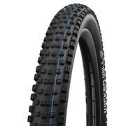 Schwalbe Wicked Will Evo Addix Tubeless 29´´ X 2.25 Rigid Mtb Tyre Argenté 29´´ x 2.25 Black