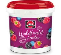 Schwartau Seau Confiture Fruits des bois sans pépins en Gastro Pack 2900g