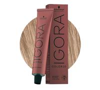 Schwarzkopf Igora Color 10 9-12 Blond Très Clair Cendré 60ml