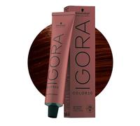 Schwarzkopf Igora Color10 6-65 Blond Foncé Chocolat Doré 60ml