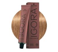 Schwarzkopf Igora Color10 8-65 Blond Clair Chocolat Doré 60ml