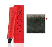 Schwarzkopf Igora Royal 6-1 Dark Blonde Cendre Permanent Hair Color 2.1 fl. oz. (60 g) by Schwarzkopf Professional