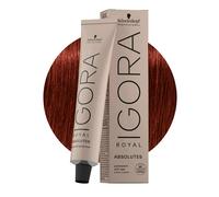 Schwarzkopf Igora Royal Absolutes 6-80 BBlond Foncé Rouge Naturel 60ml