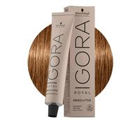 Schwarzkopf Igora Royal Absolutes 7-50 Blond Moyen Doré Naturel 60ml