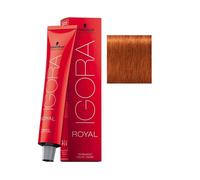 Schwarzkopf Igora Royal Cr me colorante capillaire 7-77 Blond Moyen Cuivr Extra 60 ml