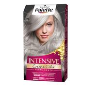 PALETTE INTENSIVE teinture #U71-gris argenté