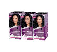 Schwarzkopf - Perfect Mousse - Coloration Cheveux - Mousse Permanente sans Ammoniaque - Masque Soin 96% d'ingrédients d'origine naturelle - Noir Glacé 210 - Lot de 3