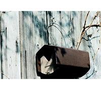 Schwegler 2HW Nichoir semi-ouvert