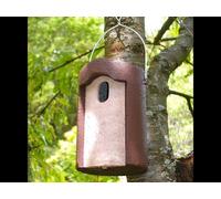 Schwegler Nichoir 1B trou de vol ovale 29 x 55 mm, béton de bois