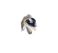 SCIARPE, FOULARD E COLLI Donna LIU JO 2A5034 T0300 00737