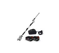 Scie à ebrancher taille haies sur perche 20v xperformer xp2psth20li - outil portatif 2 batteries 4ah et double chargeur