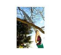 Scie À Élaguer Kent & Stowe K/S70100441