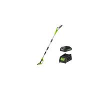 Greenworks G24PS20K2 Élagueuse sur Perche, Longueur Guide-Chaîne 20cm, Vitesse 6,7m/s, 3,2kg, Graisseur Automatique, Réservoir Huile 50ml, Portée 2,6m SANS Batterie 24V 2Ah Chargeur, Garantie 3 Ans