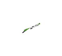 Greenworks TOOLS Élagueuse sur perche 2000107 sans fil Lithium-ion 24 V