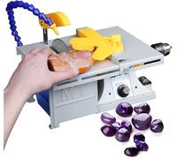 Scie à Table lapidaire - Machine de Polissage de Roche - Meuleuse multifonctionnelle à Vitesse réglable, avec Tuyau d'eau réglable - Hauteur de Coupe 4 cm - Support de meulage/Coupe/perçage OF