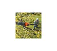 Scie d'élagage sans fil 18V Black & Decker GPC1820L20 - Batterie 2 Ah + chargeur - Manche télescopique 2.92m max