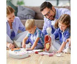 Science Can Modèle d'anatomie humaine pour enfants, jouet STEM parlant, ensemble 30 cm, dès 6 ans, promotion de Nouvel An, meilleurs cadeaux