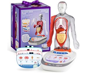 Science Can Modèle de corps humain pour enfants, modèle interactif parlant d'anatomie humaine - Kit d'assemblage anatomique réaliste de 28 cm, 15 pièces amovibles et guide (français non garanti