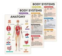 Science Classroom Posters Human Body Systems Anatomy Charts for Students Teachers Educational Wall Art Biology Study Guide Medical Reference(Unframed,08x12inch(20x30cm))