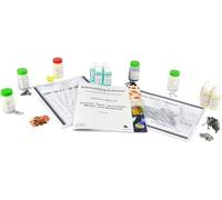 Science innovante - Module de classification du tableau périodique : Métaux, non-métaux et métalloïdes - Activité d'identification des groupes d'éléments