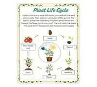 Science Learning Poster Plant Life Cycle Educational Biology Chart for Kids Classroom Homeschool Room Decor(Unframed,08x12inch(20x30cm))