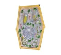 Science Populaire de l'anatomie cellulaire Biologique Modèle Anatomique de Cellule végétale Enseignement Biologique Structure agrandie de Cellule végétale Modèle de spécimens microscopiques