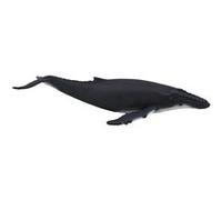 Science4you Baleine (387119.0) G