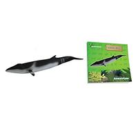 Science4You - Minke Whale - Animaux Jouets pour Enfants à partir de 3 Ans