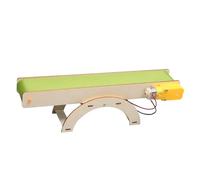 Scientific Experiment Electric Conveyor Model Kit - Enhances Creativity | Wooden Learning Toy 26.7x6.6x7.6cm | for Preschool Kids Outdoors Home School Travel, Promotes Parent-Child B