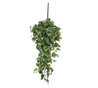 Scindapsus Artificielle Suspendu H80