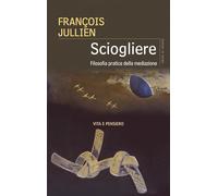 Sciogliere. Filosofia pratica della mediazione