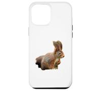 Sciurus vulgaris Écureuil Roux eurasien Coque pour iPhone 12 Pro Max