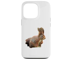 Sciurus vulgaris Écureuil Roux eurasien Coque pour iPhone 13 Pro