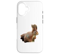 Sciurus vulgaris Écureuil Roux eurasien Coque pour iPhone 16