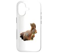 Sciurus vulgaris Écureuil Roux eurasien Coque pour iPhone 17